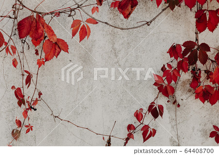 grey vintage old wall background stone texture 64408700