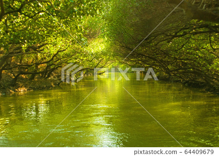 台灣的亞馬遜河 64409679