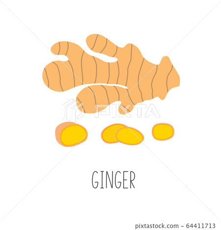 Fresh ginger and slices. Vector illustration isolated. 64411713