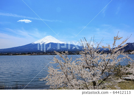 Lake Kawaguchi (spring) 64412113