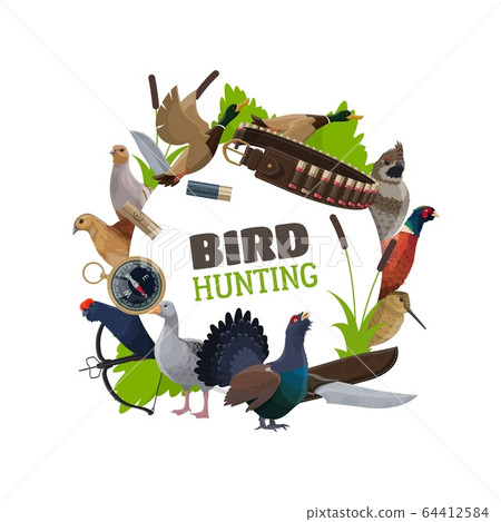 Wildfowl birds and hunting ammunition 64412584