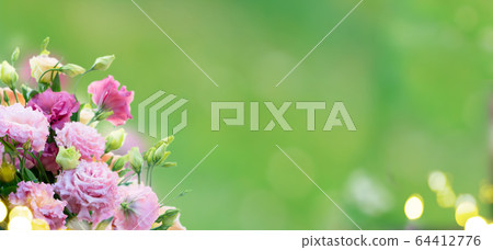 fresh rose flowers fresh rose flowers 64412776