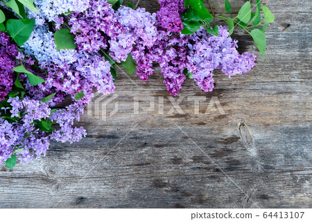 Fresh lilac flowers Fresh lilac flowers 64413107