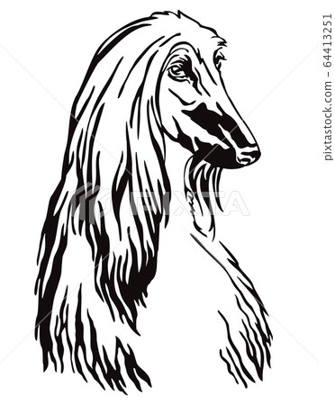 can a afghan hound live in qatar