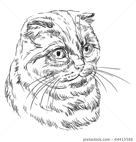 Vector hand drawing cat 9 64413588
