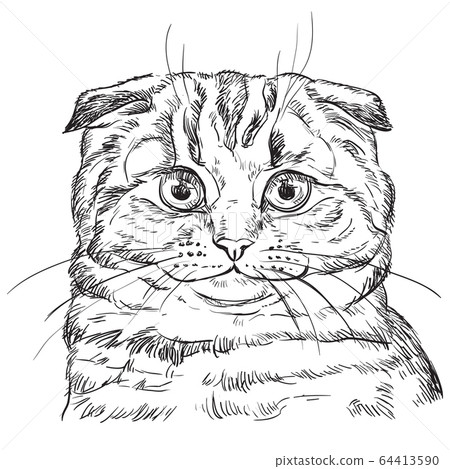Vector hand drawing cat 4 Vector hand drawing cat 4 64413590