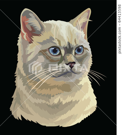 Colorful vector cat 7 64413598