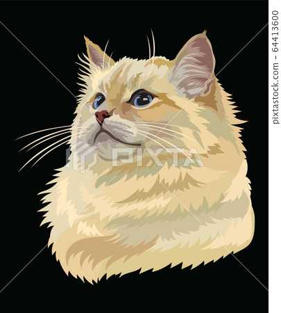 Colorful vector cat 10 64413600
