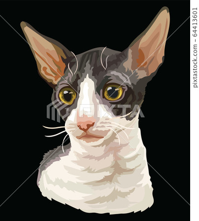 Colorful vector cat 6 Colorful vector cat 6 64413601