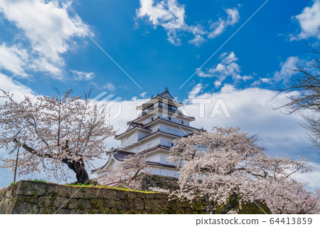 Spring Tsuruga Castle (Wakamatsu Castle), Aizuwakamatsu City, Fukushima Prefecture Spring Tsuruga Castle (Wakamatsu Castle), Aizuwakamatsu City, Fukushima Prefecture 64413859