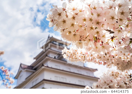 Spring Tsuruga Castle (Wakamatsu Castle), Aizuwakamatsu City, Fukushima Prefecture 64414375
