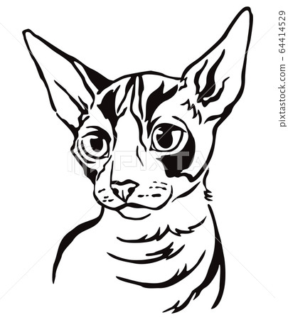Decorative portrait of Cat 4 Decorative portrait of Cat 4 64414529