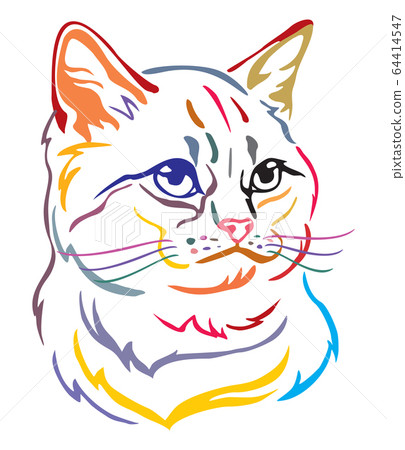Colorful decorative portrait of Cat 1 Colorful decorative portrait of Cat 1 64414547