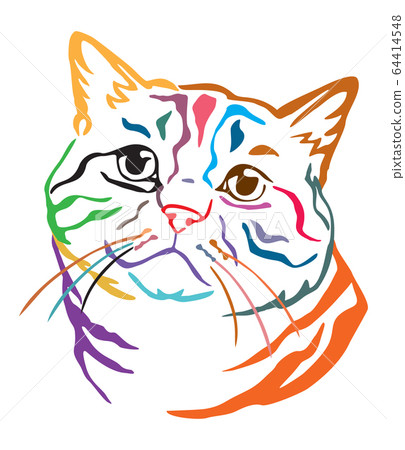 Colorful decorative portrait of Cat 2 64414548