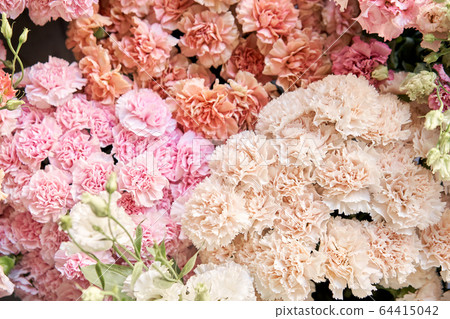 Floral carpet or Wallpaper. Background of mix of flowers. Beautiful flower for catalog or online store. Floral shop and delivery concept. Top view. Copy space Floral carpet or Wallpaper. Background of mix of flowers. Beautiful flower for catalog or online store. Floral shop and delivery concept. Top view. Copy space 64415042