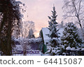 Winter garden landscape 64415087