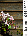 Apple tree flowers on wooden background 64415090