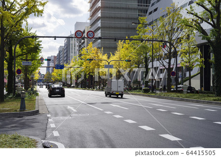 一排銀杏樹和大阪禦堂筋的城市景觀 一排銀杏樹和大阪禦堂筋的城市景觀 64415505