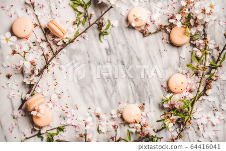 Sweet macaron cookies and white spring blossom Sweet macaron cookies and white spring blossom 64416041