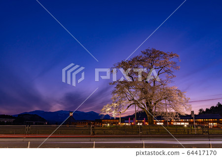 福島縣日本松市市路站足立櫻花 福島縣日本松市市路站足立櫻花 64417170