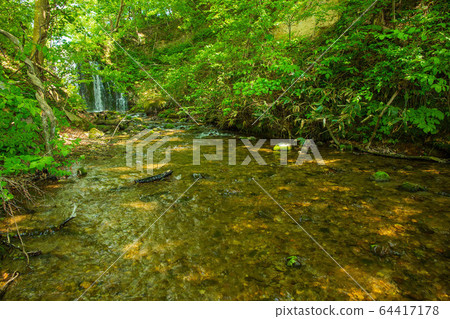 Early summer in the Shirakami Mountains, a World Heritage Site, fresh green twelve lakes, Oike 64417178