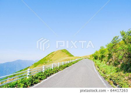 瓶森林森林公路 64417263