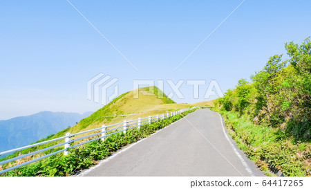 瓶森林森林公路 瓶森林森林公路 64417265