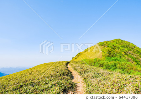 Kamegamori Kamegamori 64417396