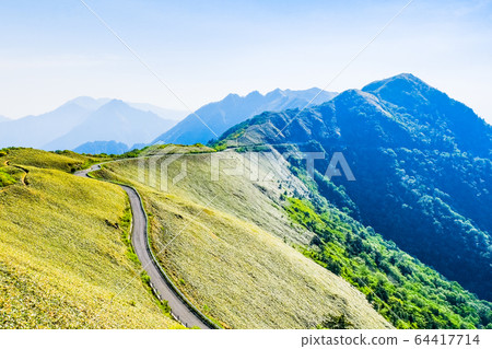 瓶森林森林公路 瓶森林森林公路 64417714