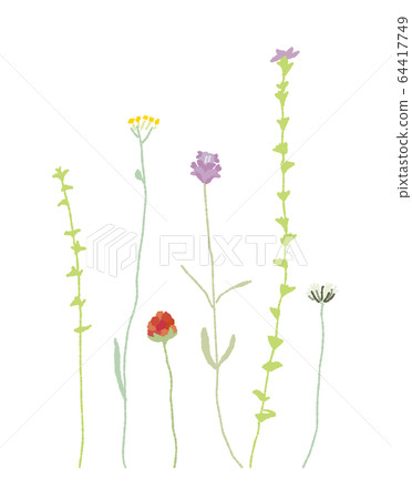春天的花朵 春天的花朵 64417749
