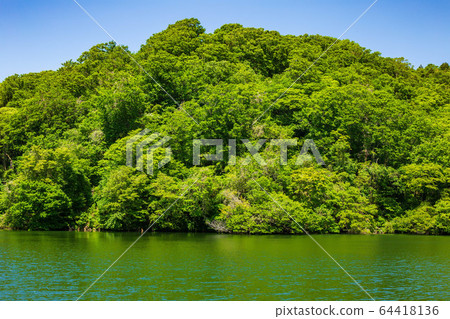 Early summer in the Shirakami Mountains, a World Heritage Site 64418136