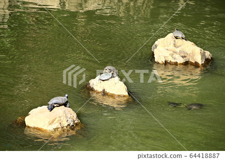 Creatures of the Meguro River 64418887