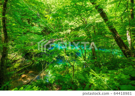 初夏，世界遺產白良山，鮮綠色的十二個湖泊，沸騰的鍋塘 64418981