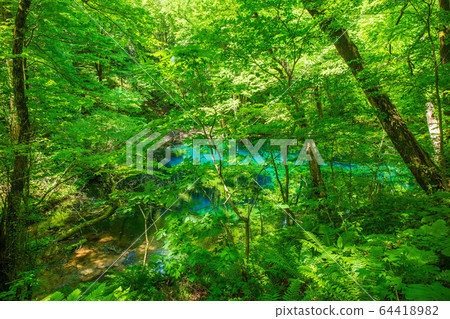 初夏，世界遺產白良山，鮮綠色的十二個湖泊，沸騰的鍋塘 64418982