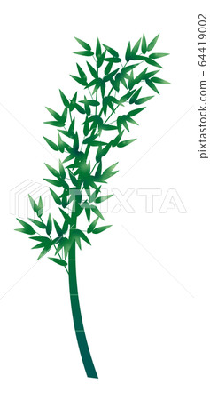 Bamboo illustration 64419002