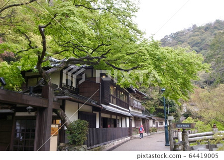 Blue leaves 64419005