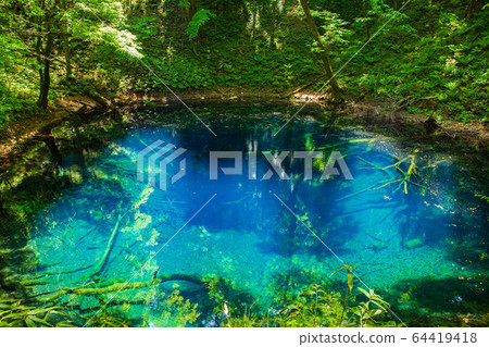 Early summer in the Shirakami Mountains, a World Heritage Site, fresh green twelve lakes, mysterious blue pond 64419418