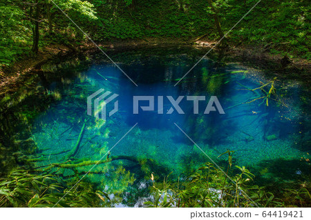 Early summer in the Shirakami Mountains, a World Heritage Site, fresh green twelve lakes, mysterious blue pond 64419421