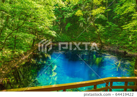 Early summer in the Shirakami Mountains, a World Heritage Site, fresh green twelve lakes, mysterious blue pond 64419422