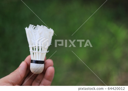 Hand holding badminton shuttlecock. 64420012