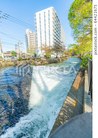Gunma prefecture Maebashi Hirose riverside greenery landscape 64421675