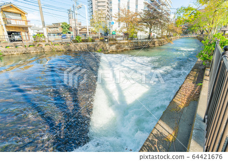 Gunma prefecture Maebashi Hirose riverside greenery landscape 64421676