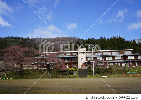 Nishoishi Elementary School where Morio Kadidare blooms Nishoishi Elementary School where Morio Kadidare blooms 64422116