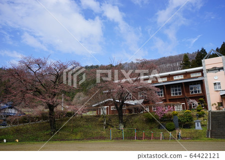 森雄百花盛開的西石小學 森雄百花盛開的西石小學 64422121