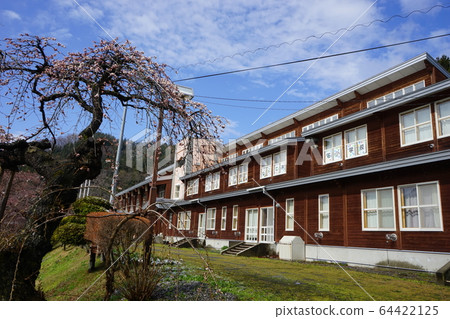 Nishoishi Elementary School where Morio Kadidare blooms 64422125