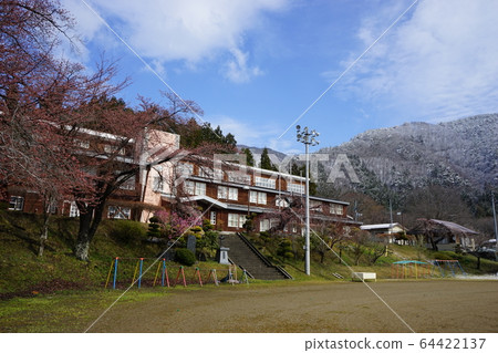 Nishoishi Elementary School where Morio Kadidare blooms 64422137