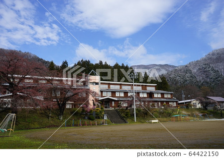 Nishoishi Elementary School where Morio Kadidare blooms Nishoishi Elementary School where Morio Kadidare blooms 64422150