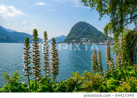 瑞士盧加諾盧加諾湖和聖薩爾瓦多山 瑞士盧加諾盧加諾湖和聖薩爾瓦多山 64423349