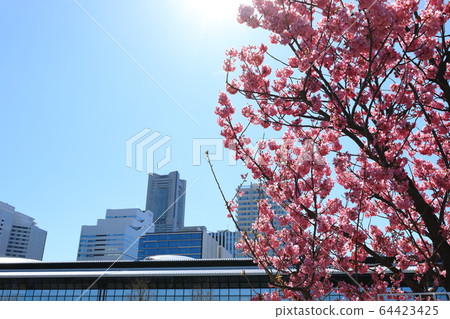 橫濱港未來港晴朗的天氣 橫濱港未來港晴朗的天氣 64423425