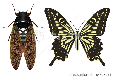 阿布拉研討會和燕尾 64423751